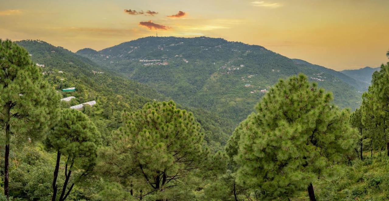 The Western Heights I Serviced Apartments I Pvt Balcony I Lift I Peacefull Area I Family Accomodation I Kasauli I By Exotic Stays Экстерьер фото