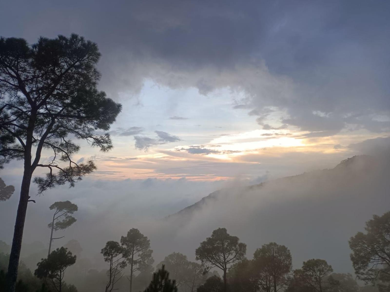 The Western Heights I Serviced Apartments I Pvt Balcony I Lift I Peacefull Area I Family Accomodation I Kasauli I By Exotic Stays Экстерьер фото